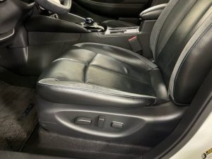 2018 Nissan Leaf SL — thumbnail 13