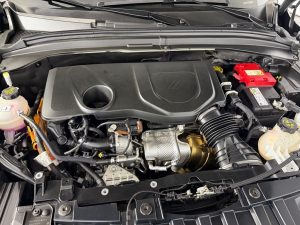 2024 Dodge Hornet R/T AWD — thumbnail 15