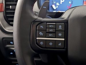 2024 Ford F-150 Raptor 37 Edition 4WD — thumbnail 20